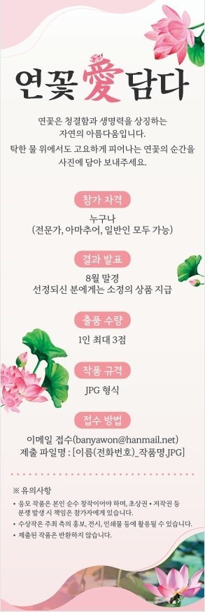 연꽃담다